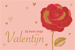 Valentijn jij bent mijn Valentijn